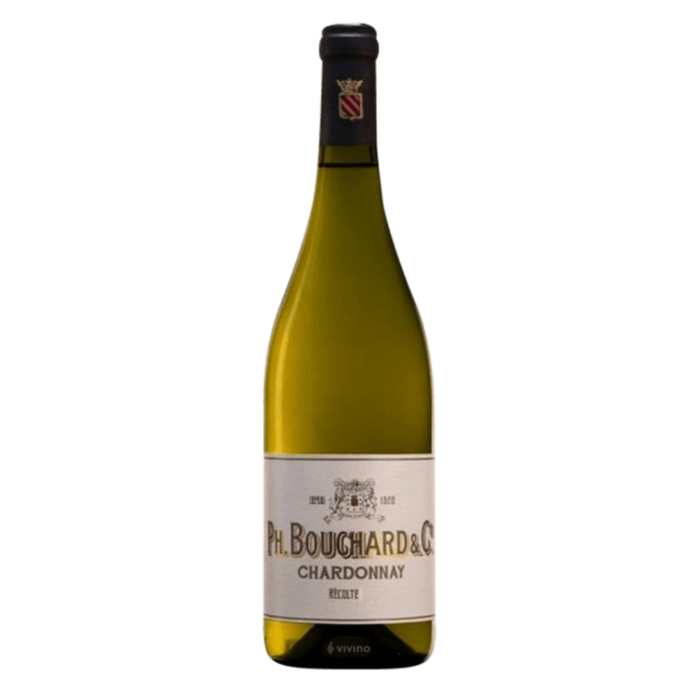 [530017] Vin Blanc Chardonnay Bouchard - 75cl